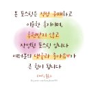 31주~32주 나트랑/냐짱 태교여행 08 :: 한국인 줄 서는 식당 안토이(Ăn Thôi) 솔직 후기