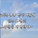 씨앗을 파는 가게-3 이미지