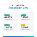 배낭속크루즈 | 괌 돌핀투어 스노쿨링 돌핀크루즈 추천 준비물 내돈내산 솔직 후기 ♥