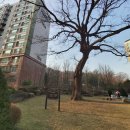 과천중앙공인중개사사무소 이미지