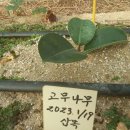 온식구 이미지