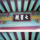 북두칠성반점 이미지