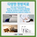 강동가인한의원 이미지