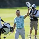 챔피언나이트클럽 이미지