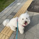 뭉티의 하루 네이버블로그