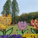 부천자연생태공원 이미지