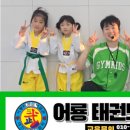 어룡태권도 이미지