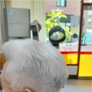 나도머리방