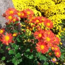 향기가득 이미지