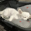 멍펜션1 이미지