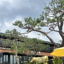 도고목장 | 백운호수 맛집| 선일목장 정육식당 후기_ 넘 비싼 곳.. 식물원이 좋음