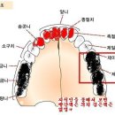 한나라당 김학송 의원의 mc몽 국정감사자료... 이미지