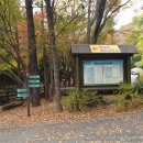 유치자연휴양림 관리사무소 이미지