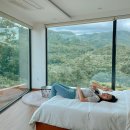 까미노데플로레스타1 이미지