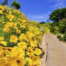 지세포로 이미지