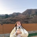 심바동물병원 이미지