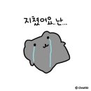 리듬 리듬 스틸텅드럼 이미지
