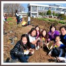 변동초등학교 이미지