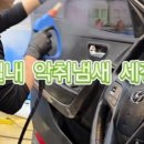 고려카세차장 이미지