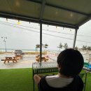 와이키키서프