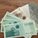 신세계 상품권으로 W컨셉 스프링 페스타 쇼핑후기 ssgpay 등록방법 (모어댄라이크 티, 페브루 포키백)