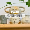 파주 헤이리마을 키우기 쉬운 아프리카 희귀식물 판매숍 무계획 수집공간 방문후기