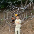 헤이리농장 이미지