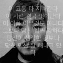뉴이 카카오 검색결과