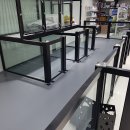 도그어게인 이미지