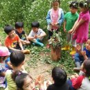 동영유치원 이미지