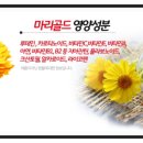 김현주꽃차 이미지