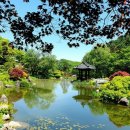 아침고요치유의 숲 이미지