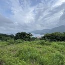 키즈풀빌라미스터준 이미지