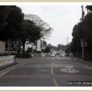 안덕초등학교 이미지