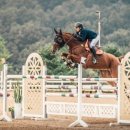 (주)엑스포라인 이미지