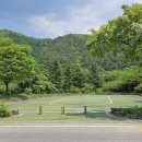 토종성황림마을 이미지