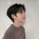 박 헤어컷