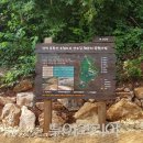 오랍드리산소길 이미지