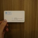 에이플동물병원 이미지