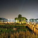 달구벌카서비스 | 대구 지명 다시 보기, 향토음식, 핫플레이스