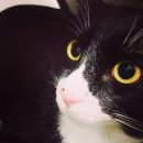 뷰티펫동물병원 이미지