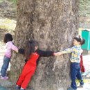 호저초등학교 병설유치원 이미지