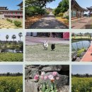 사계리 포구 사계어촌체험장 앞 도로변 | 50대 초보운전 아줌마의 6개월 제주살이 - 2탄