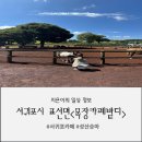 바띠에 | 제주도 감성카페 추천, 단연 최고였던 서귀포 목장카페 밭디 (BATTI) 후기