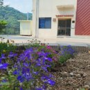 쉼표펜션 이미지