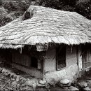 까치구멍집 이미지