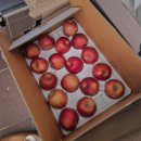 현대백화점 판교점 압소바 이미지