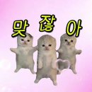 하 ㅆㅋㅋㅋㅋ 앙끼들 기상 알람 이거 해라 이미지