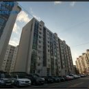 동문동538 이미지