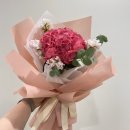 포엠플레르 이미지